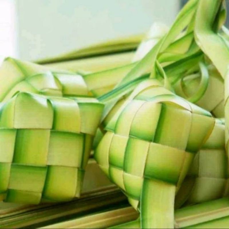 

DAUN KELAPA MUDA DAUN JANUR KUNING MUDA/CANGKANG KETUPAT SIAP PAKAI