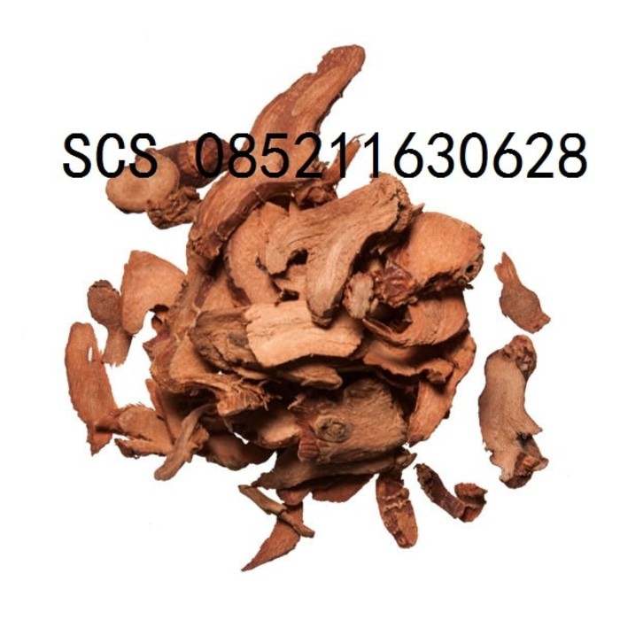 

Gao Liang Jiang Alpinia Galanga Lesser Galangal Rhizome 600 gram