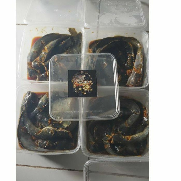 

lele bumbu segar/lele siap goreng