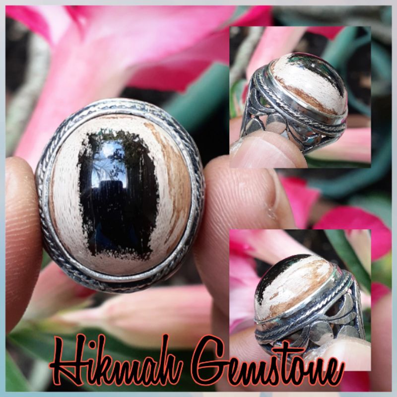 Batu Fosil Kayu Kelor Puser Bumi