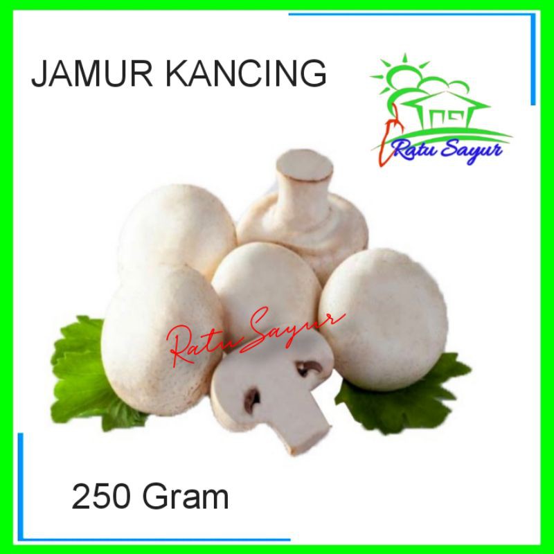 

Sayur JAMUR KANCING /Ratu Sayur .id