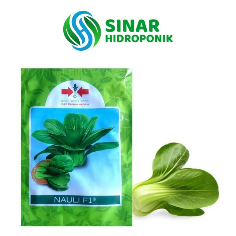 BENIH PAKCOY NAULI F1