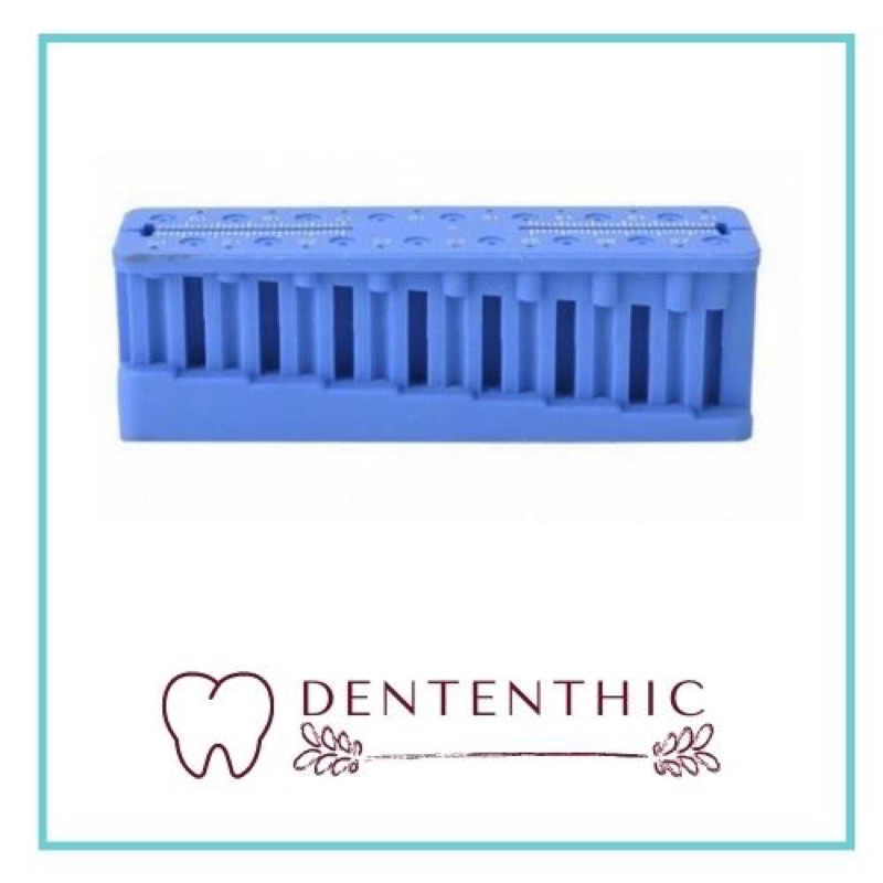 Endo Block / Endo Stand Dental File Ruler Endodontic