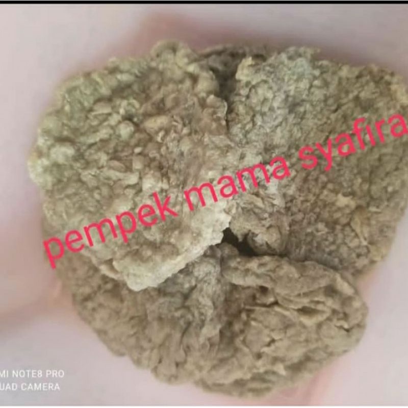 

pempek kulit tenggiri