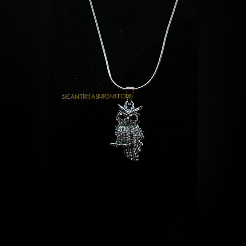 (PROMO)Kalung plus liontin burung hantu Titanium fashion pria terlaris dan terbaru anti karat