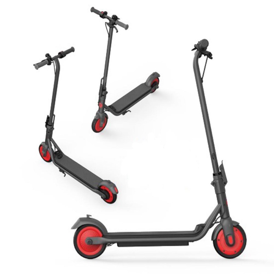 Segway Ninebot Kickscooter C20 / Skuter Listrik Lipat