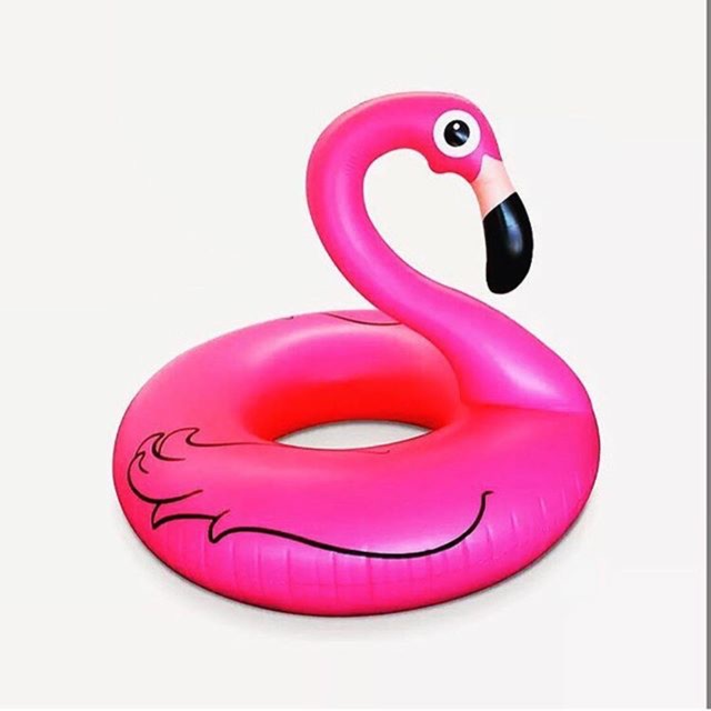Floaties Flamingo ring / flamingo floaties