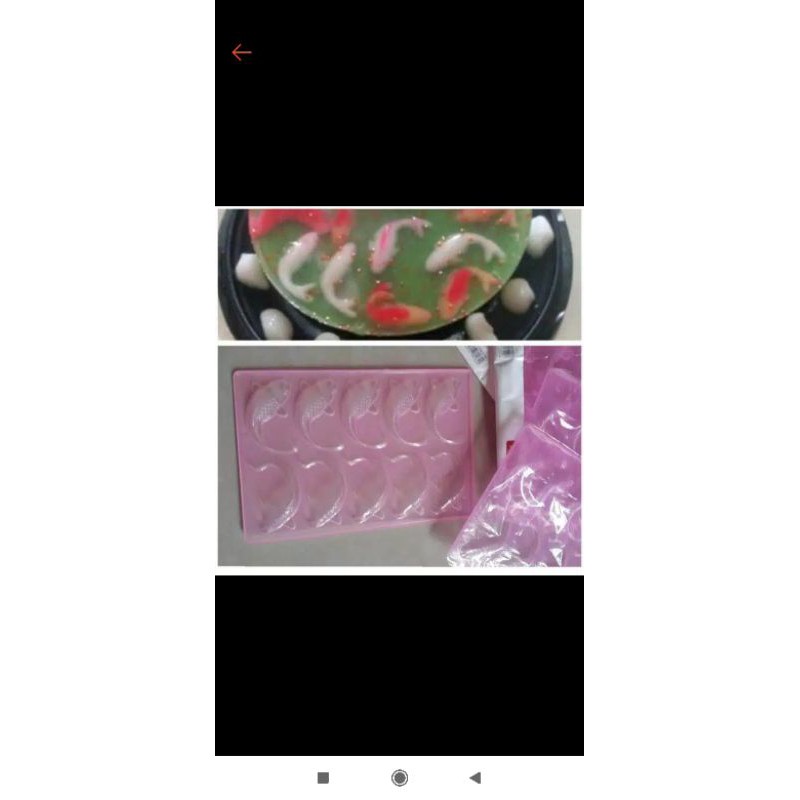 cetakan jelly ikan koi
