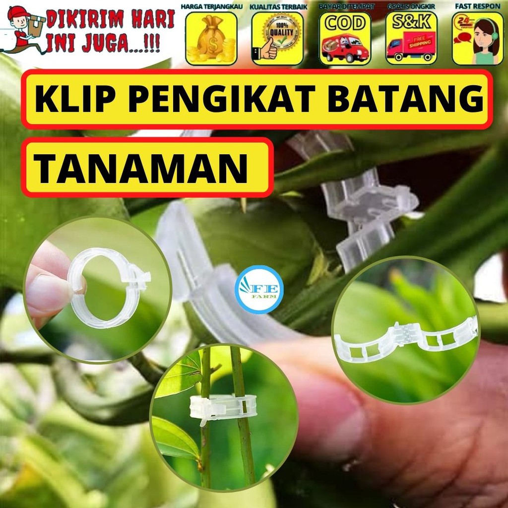 Clip Klip Untuk Pengikat Pemegang Batang Tanaman Berkebun FEFARM