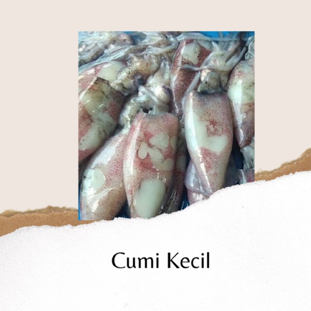 

CUMI KECIL FRESH BANDUNG - 1KG