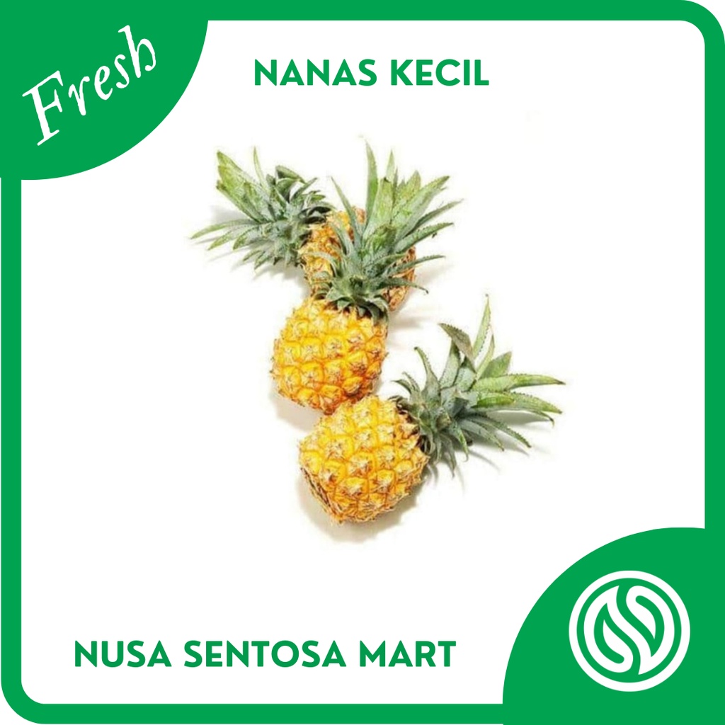 

Buah Nanas Kecil Nanas Mini Segar – 500g