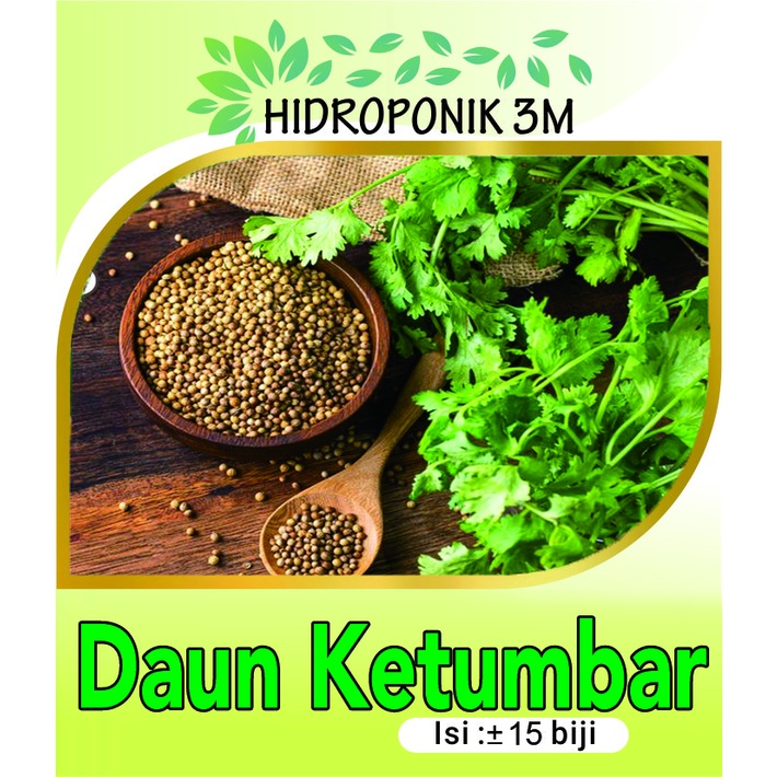 Benih Daun Ketumbar - Repack