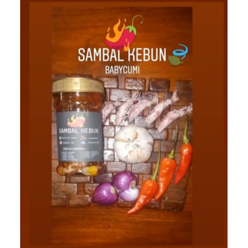 

Sambal Babycumi Sambal kebun
