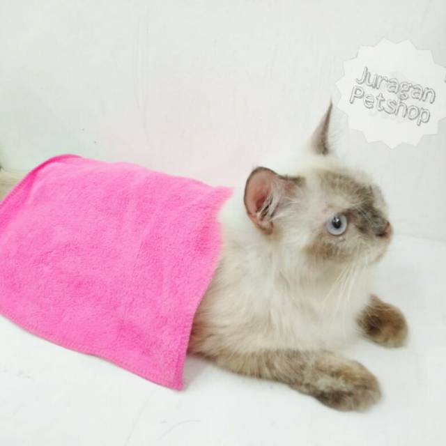 HANDUK GROOMING Kucing/Anjing | Daya Serap Tinggi dan Lembut |