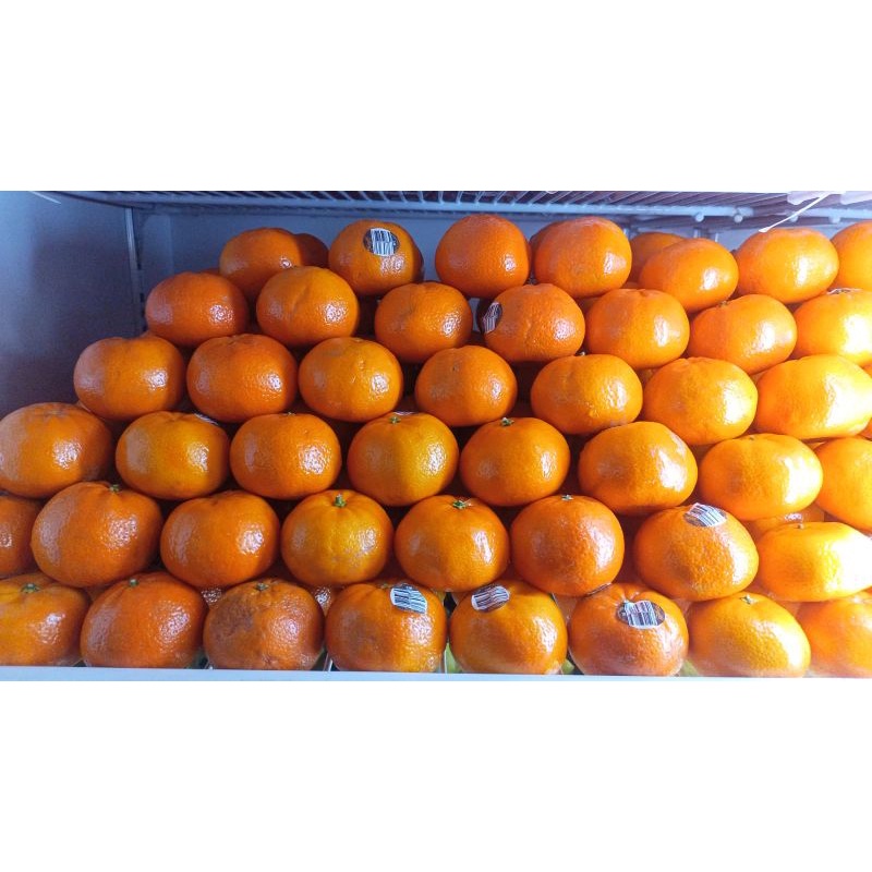 

jeruk Mandarin import super duper manis dan fresh