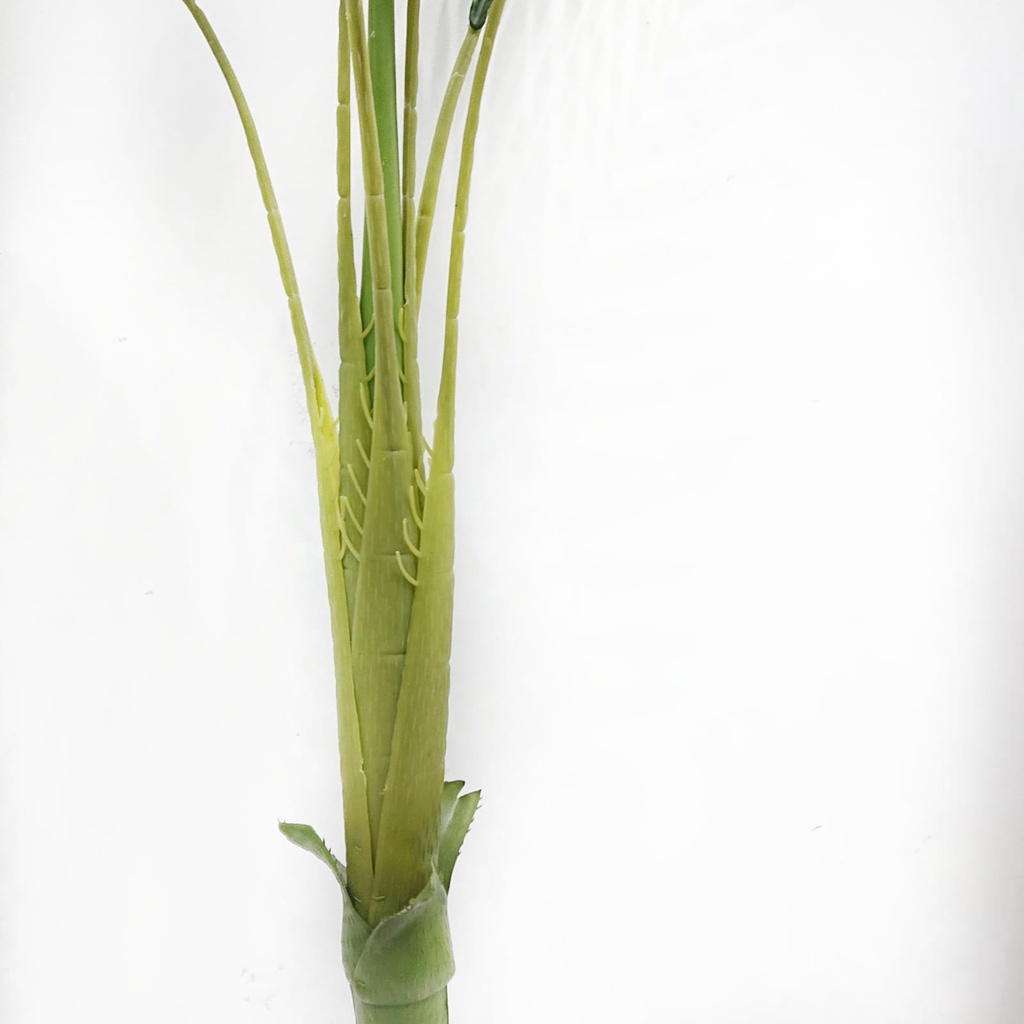AND / COD / Pohon Palem Hias Tanaman Hias Plastik Ornamen Pajangan Dekorasi Rumah Artificial Plants Monstera Palm Tree Tinggi PBP76