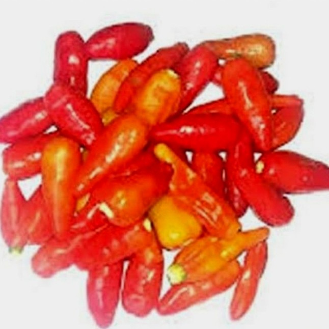 

CABE RAWIT MERAH PETIK