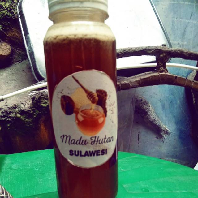 

Madu hutan