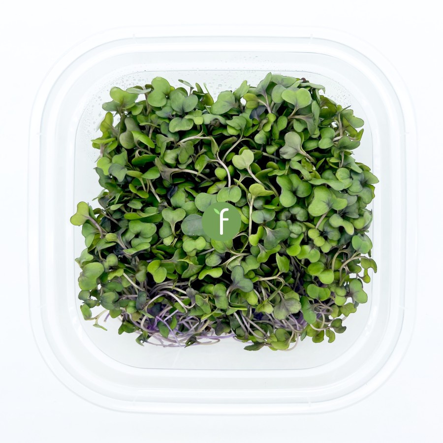

Sayur Kubis Merah Mikro | Red Cabbage Fresh Microgreens