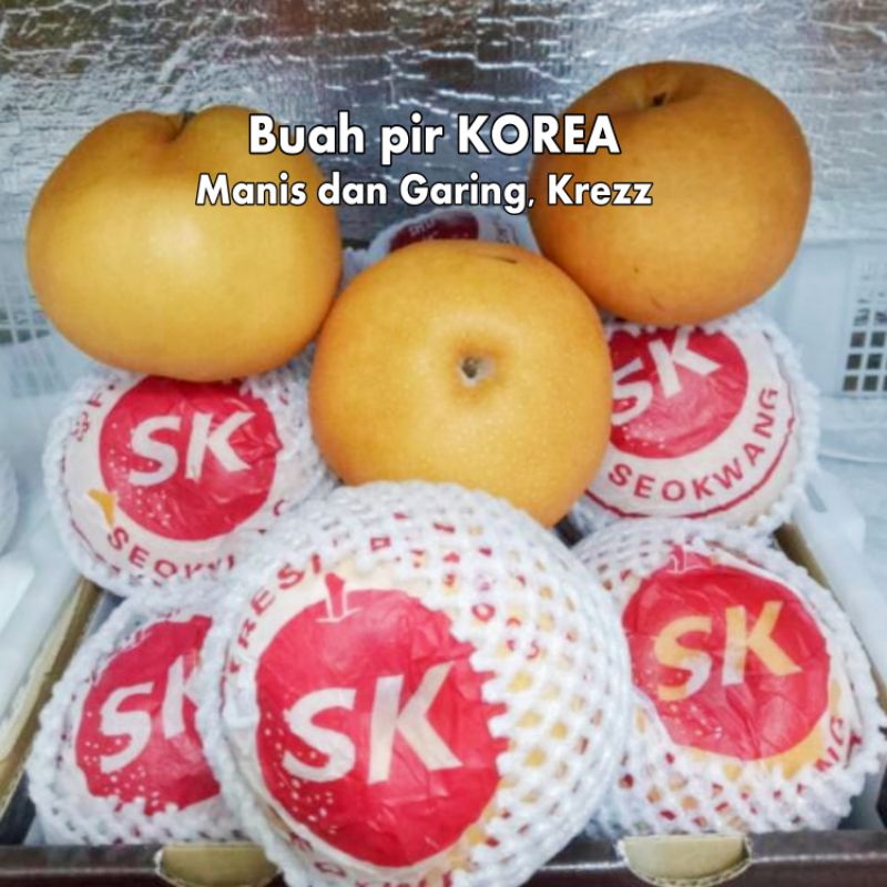

Buah pir madu korea 1 Buah yang Manis dan Garing buah kurma