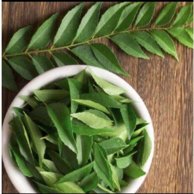 

Daun kari / salam koja