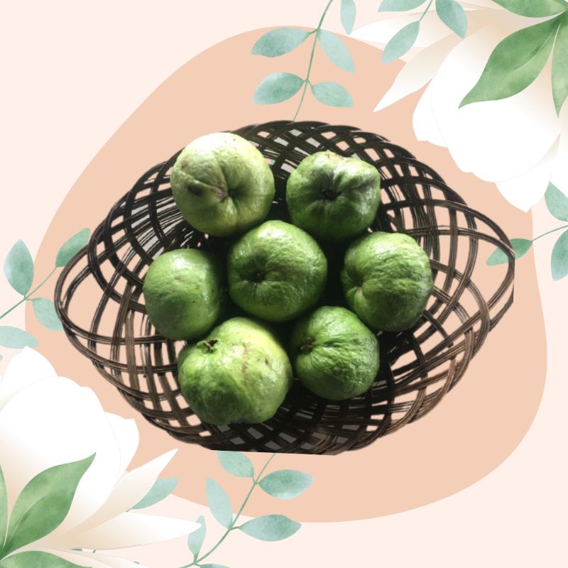 

Jambu Kristal 1 kg/ Jambu kristal Berkualitas