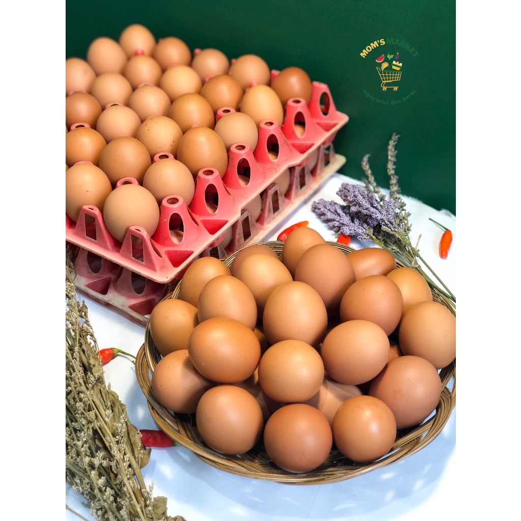 Telur ayam negeri segar 1peti- 15kg