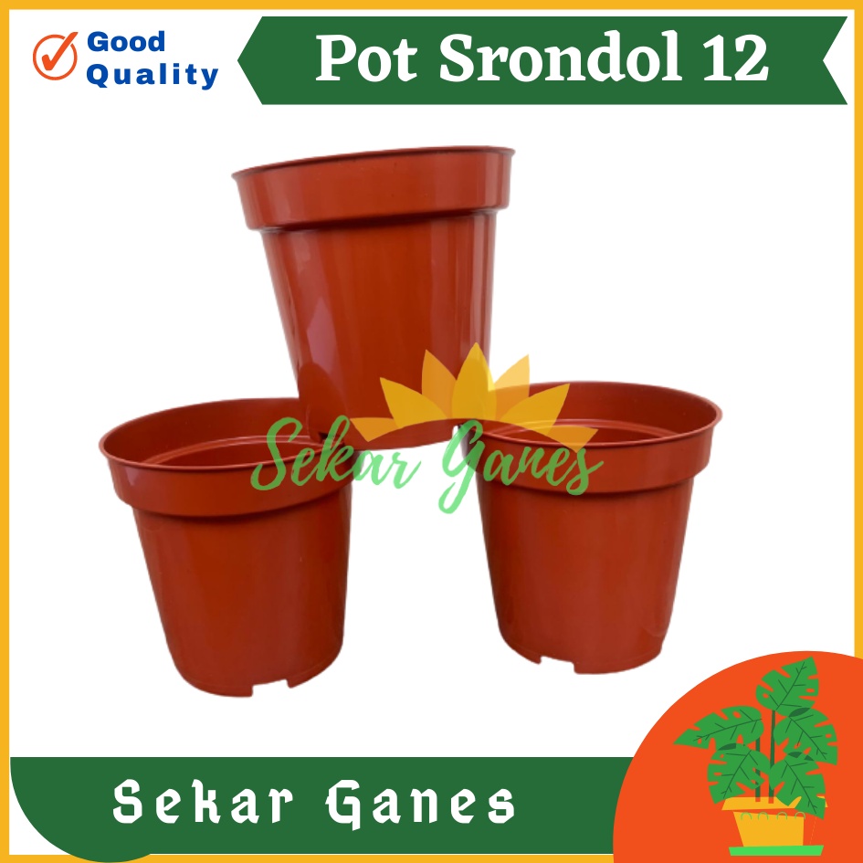 Pot Tinggi Srondol 12 Merah BataTerracota Coklat - Pot Tinggi Usa Effiel 18 20 25 Lusinan Pot Tinggi Tirus 15 18 20 30 35 40 50 Cm Paket murah isi 1 lusin pot tanaman Pot Bibit Besar Mini Kecil Pot Srondol Pot Bunga Termurah