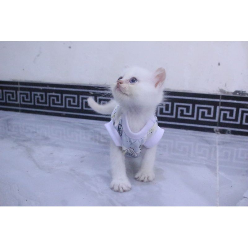 kaos rumahan motif daun abstrak lucu untuk kucing model terlengkap / baju kucing murah size S M L XL