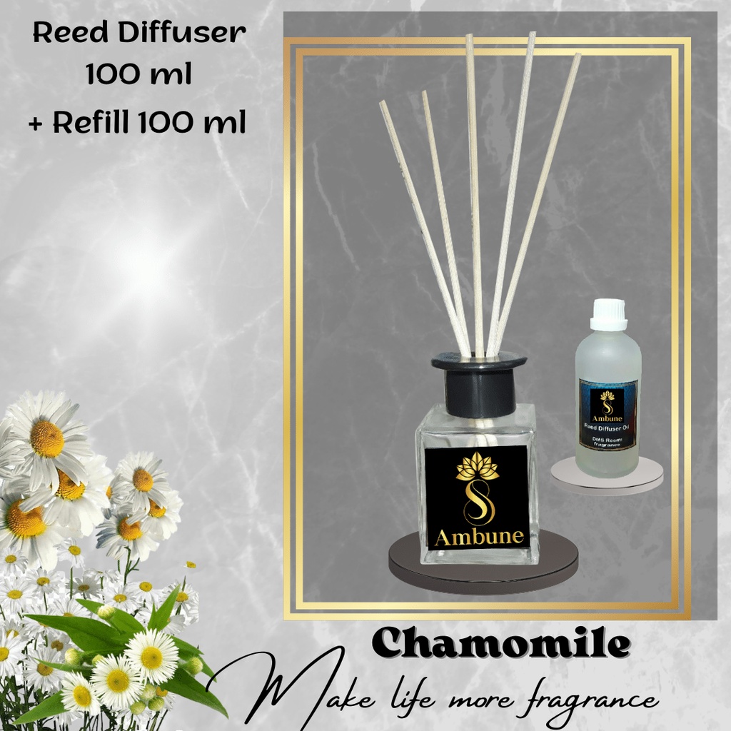 Reed Diffuser Oil Chamomile Pengharum Ruangan 100 ml Ambune