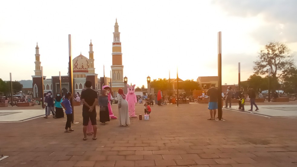 Tanaman Bunga Lavender Tanaman Pengusir Nyamuk