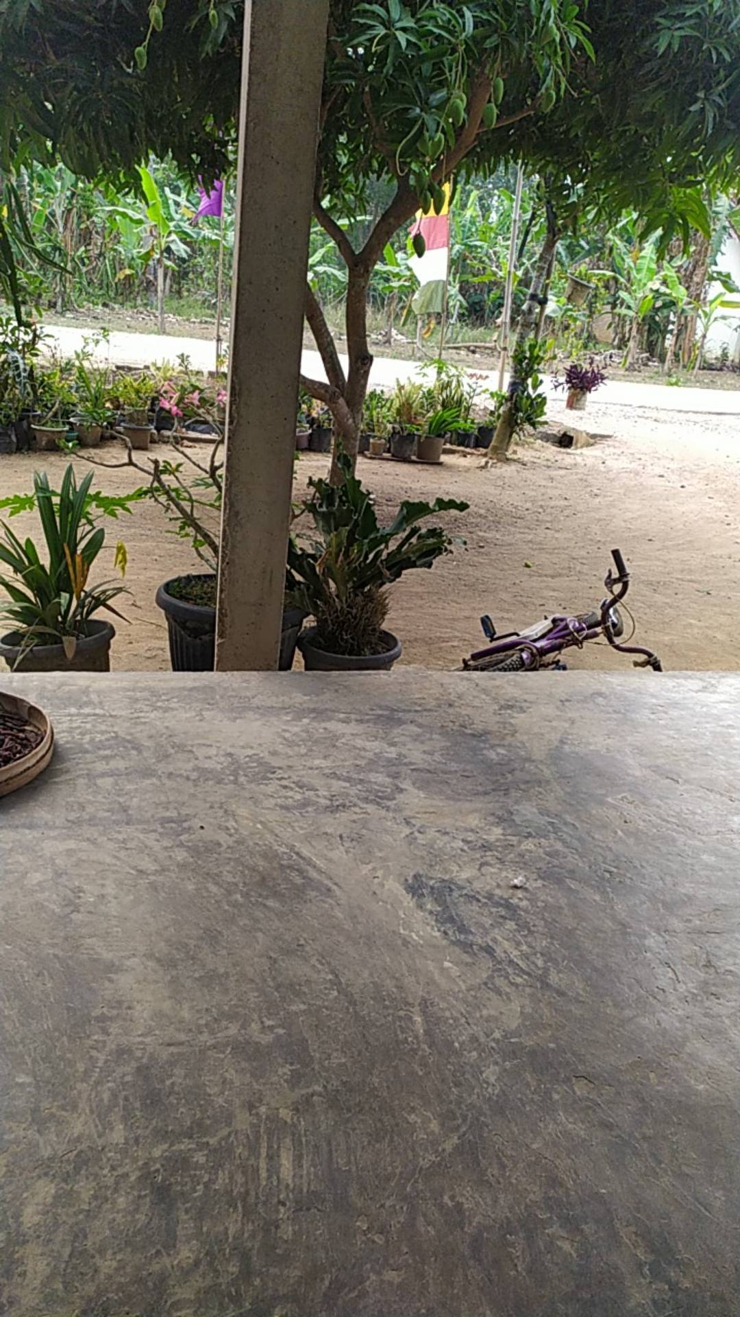 Promo Glue Gun 10 Watt Dengan 2 Isi Refill 20 Cm Alat Lem Tembak Kecil