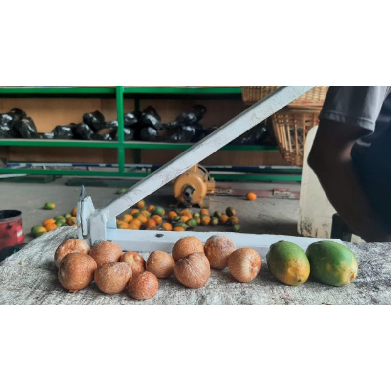 Alat Pengupas Kulit Pinang Bulat/Alat Pembuka Kulit Pinang/panen pinang/pertanian/petani pinang