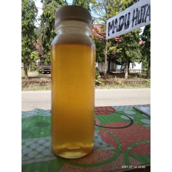 

Madu Hutan Sialang Madu Asli Sumatera