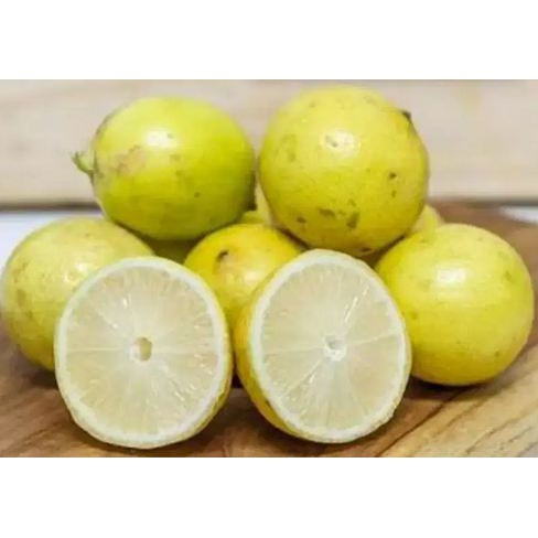 

Jeruk Lemon pack 200gr