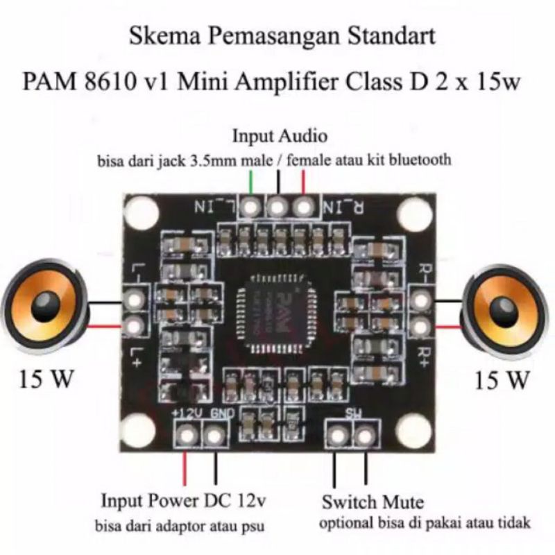 pam 8610 amplifier
