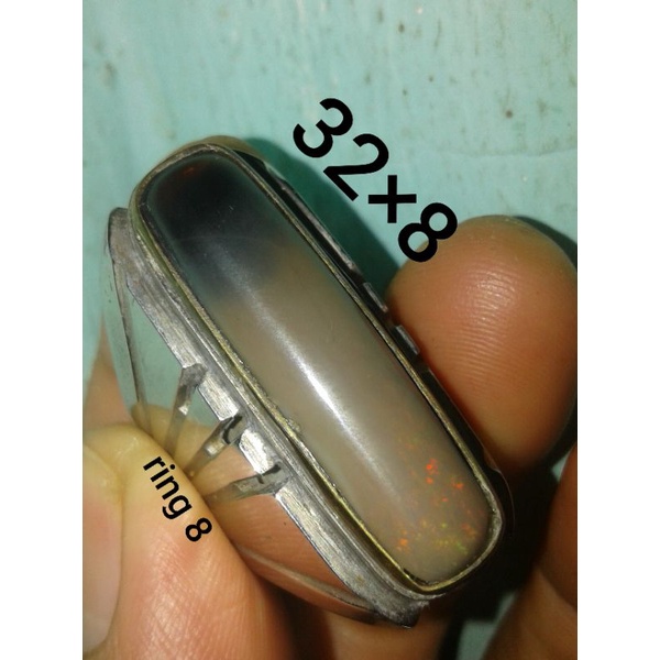 1000% asli natural kalimaya bunglon jarong banten