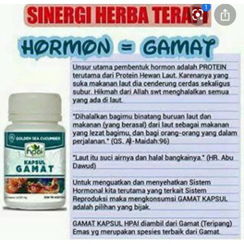 Obat Herbal Gamat HPAI