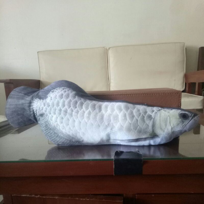 

ikan arwana