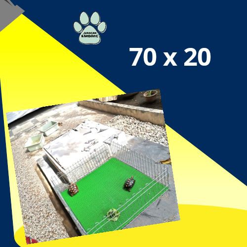 pagar tortoise kura kura darat kandang kura kura darat