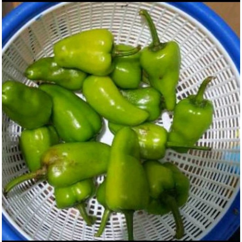 

Cabe Hijau Besar Pontianak 500gr