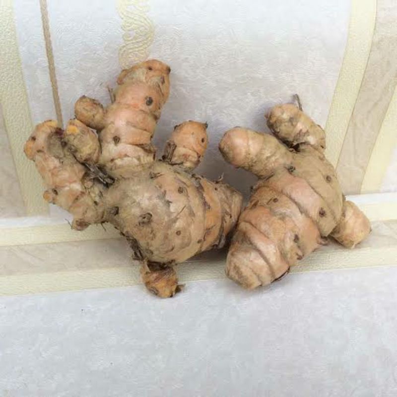 

(1kg) TEMULAWAK Penambah Imun Tubuh