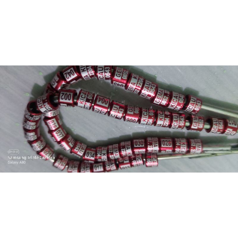 Ring burung laser blok