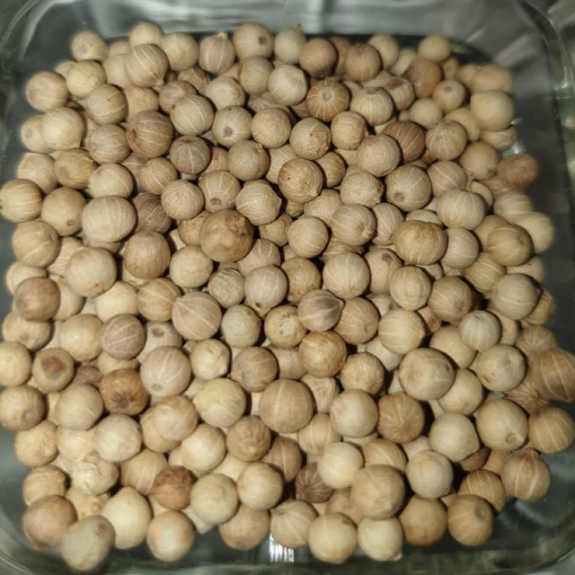 

Lada putih Asli Bangka / Merica / Sahang / White Pepper