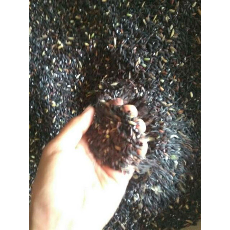 

ketan hitam 500 gram