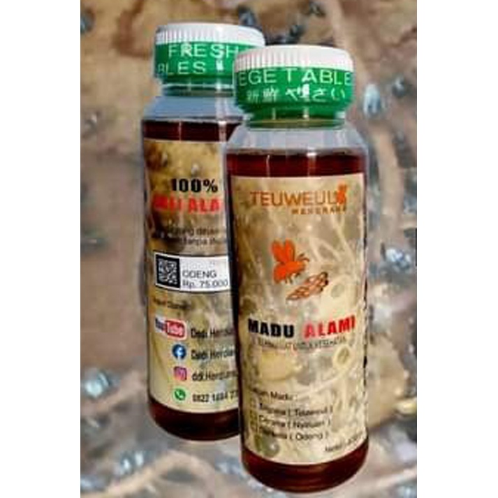 

Madu Asli Alami / Madu Dorsata / Madu Trigona