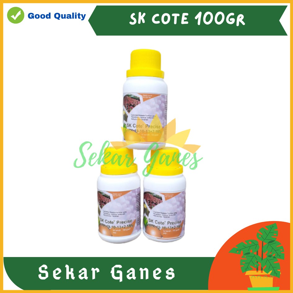 Sekarganes Ori SK Cote Precise 100 Gram NPK 19-10-13 Pupuk Durian Fungsi Mirip Osmocote Dakastar 17-11-10 17 11 10 Pupuk Sk Kote Premium Tanaman Hias Aglaonema Monstera Aglo Slow Release