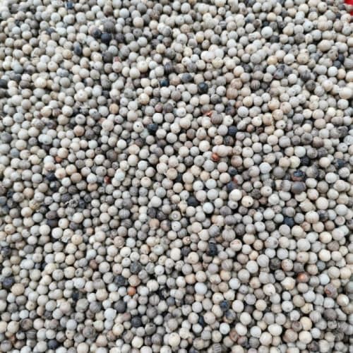 

Lada Putih Kualitas Bagus Utuh / Mrica Putih / Whole White pepper 500g