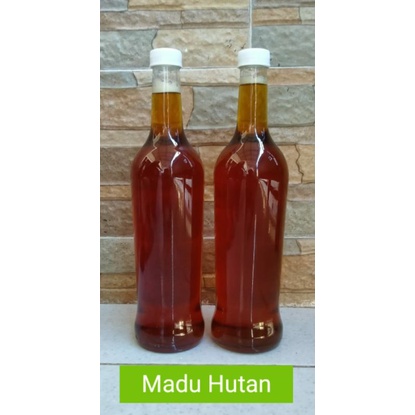

madu tawon hutan