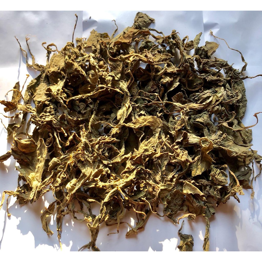

DAUN DEWA KERING 1kg DAUN SAMSIT KERING OBAT HERBAL STROKE DIABETES KANGKER PAYUDARA PENDARAHAN